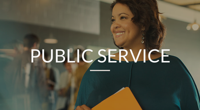 Public Service category image